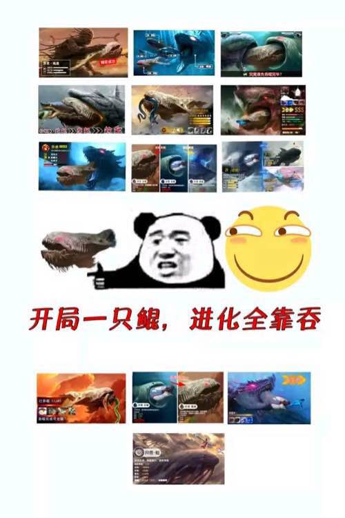 这个台湾的“邦交国” 正在经历一片萧条