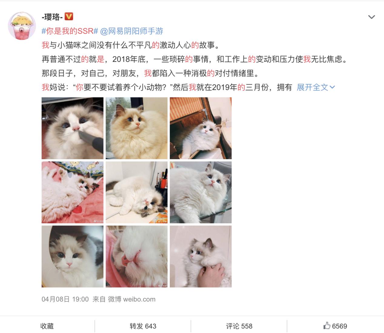 从《阴阳师》“守护的契约”，看游戏赋能公益优越性