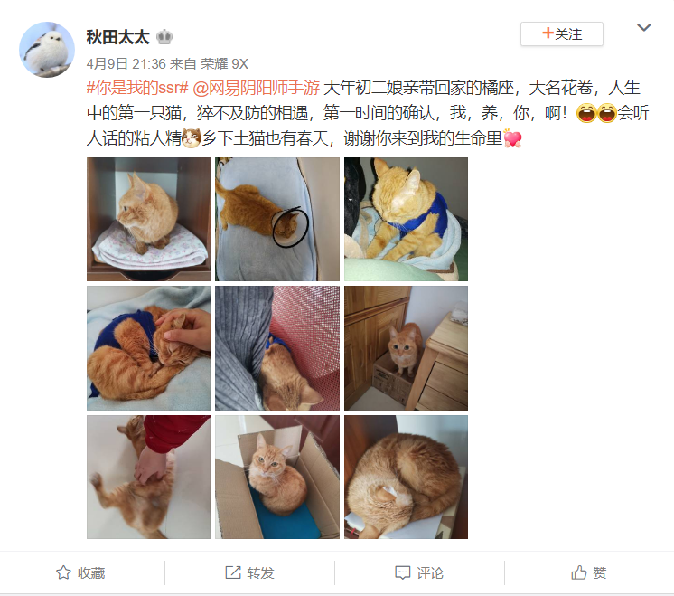 从《阴阳师》“守护的契约”，看游戏赋能公益优越性